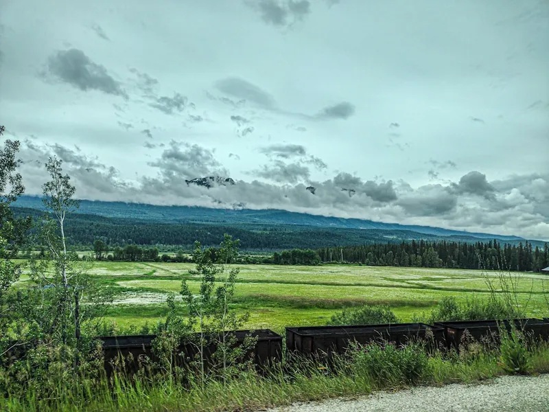 A train traveling through a lush green countryside