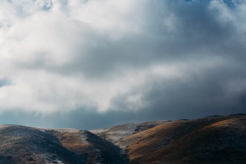 Shot in Colorado on a cold winter day.